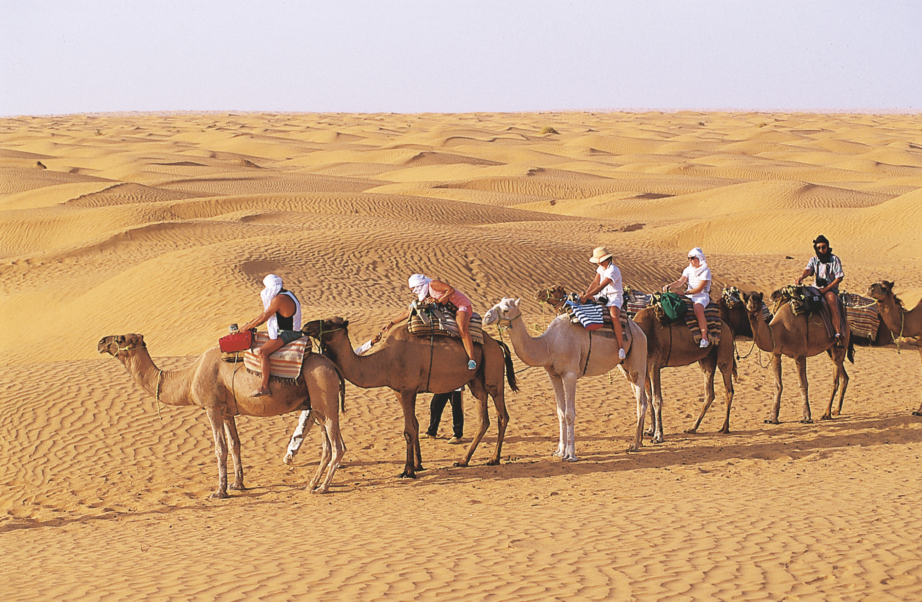 Túnez Desierto y Playa